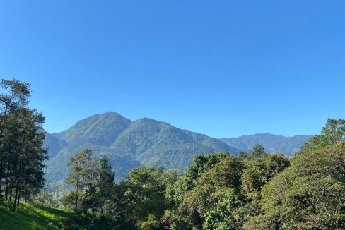 WhatsApp Image 2022-05-11 at 10.02.30 PM