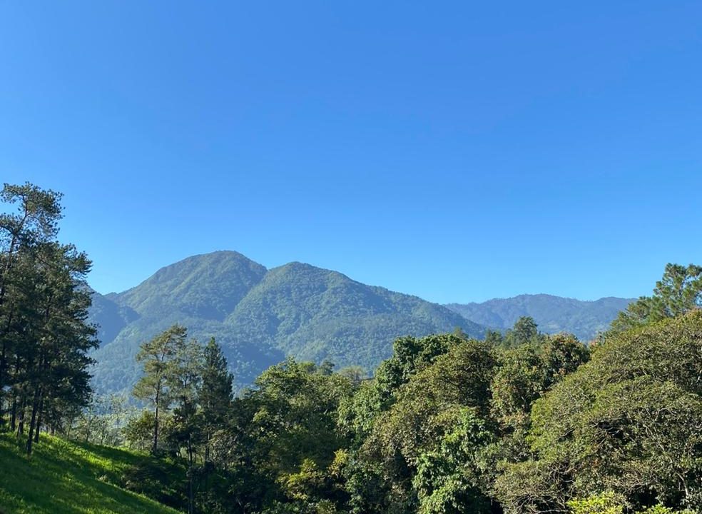 WhatsApp Image 2022-05-11 at 10.02.30 PM