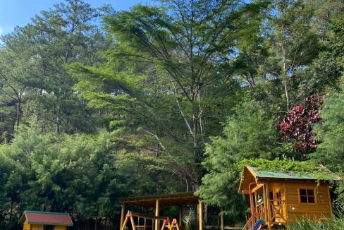 WhatsApp Image 2022-05-11 at 10.02.38 PM (1)