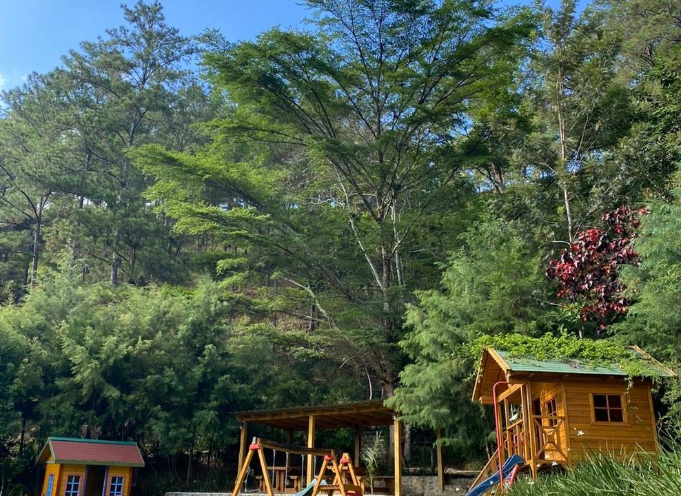 WhatsApp Image 2022-05-11 at 10.02.38 PM (1)