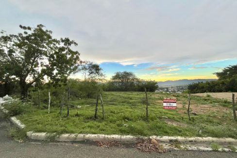 WhatsApp Image 2022-08-29 at 6.48.40 AM