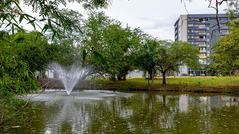 Grupo-ESTRELLA-Livera-6-