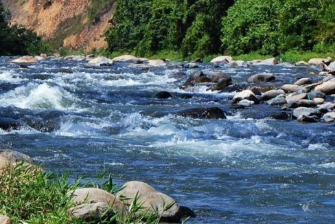 WhatsApp Image 2022-12-13 at 7.57.38 AM