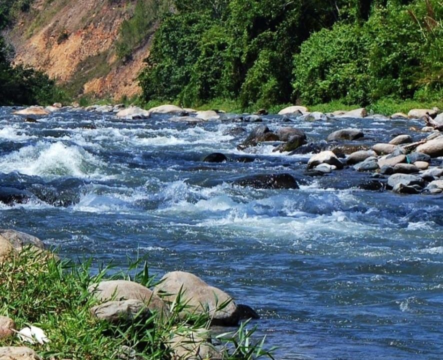 WhatsApp Image 2022-12-13 at 7.57.38 AM