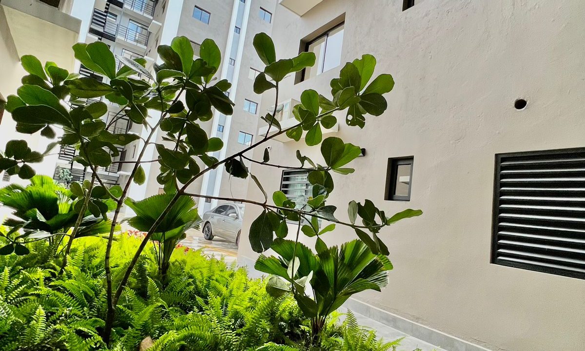 WhatsApp Image 2022-12-14 at 3.23.42 PM (1)