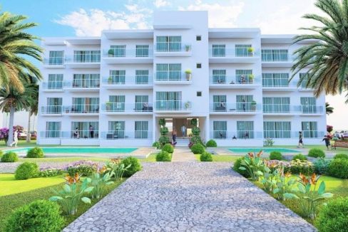 WhatsApp Image 2023-01-17 at 12.50.37 PM (1)