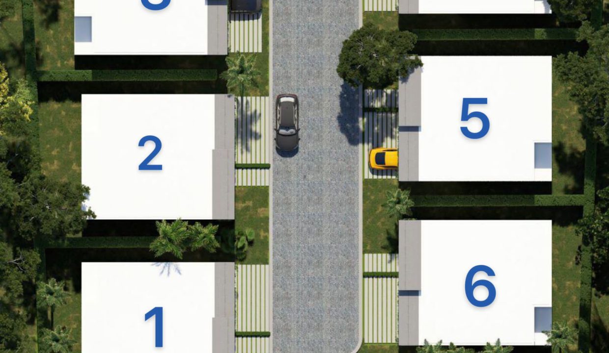 WhatsApp Image 2023-02-11 at 8.59.13 PM