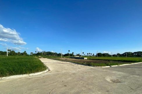 WhatsApp Image 2024-02-07 at 10.53.07 AM (1)