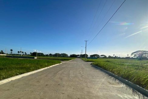 WhatsApp Image 2024-02-07 at 10.53.07 AM (3)