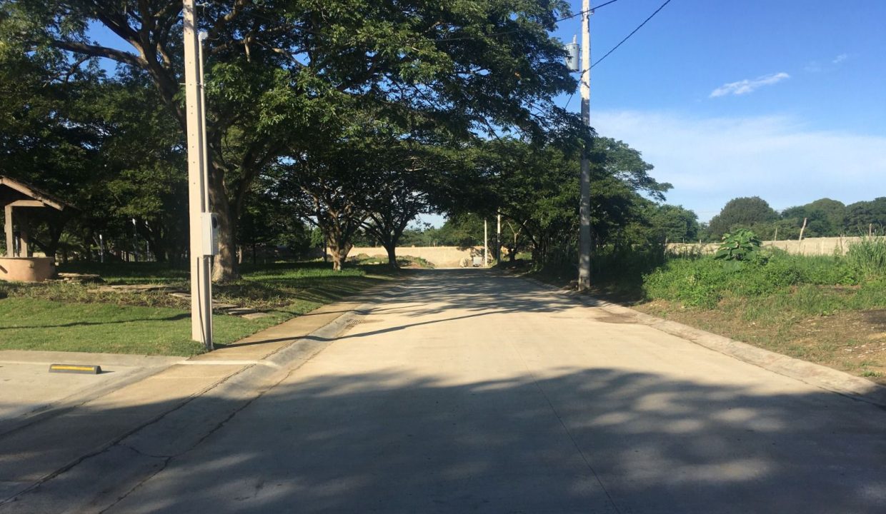 WhatsApp Image 2024-02-07 at 9.31.10 AM