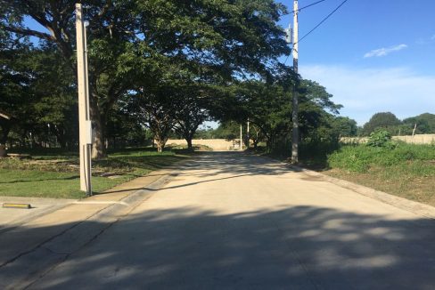 WhatsApp Image 2024-02-07 at 9.31.10 AM