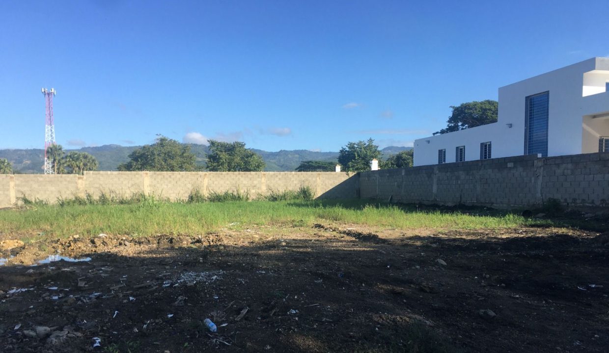 WhatsApp Image 2024-02-07 at 9.31.11 AM