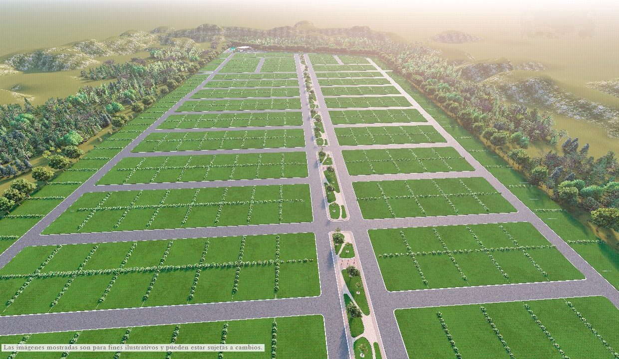 WhatsApp Image 2024-04-11 at 12.58.56 PM (4)