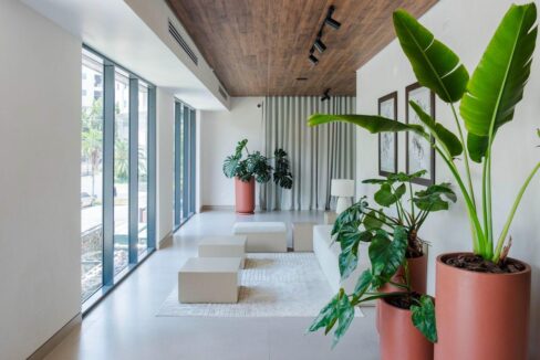 WhatsApp Image 2024-12-03 at 4.50.20 PM