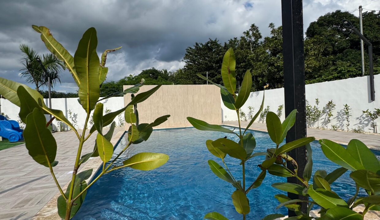 WhatsApp Image 2025-01-07 at 3.53.15 PM