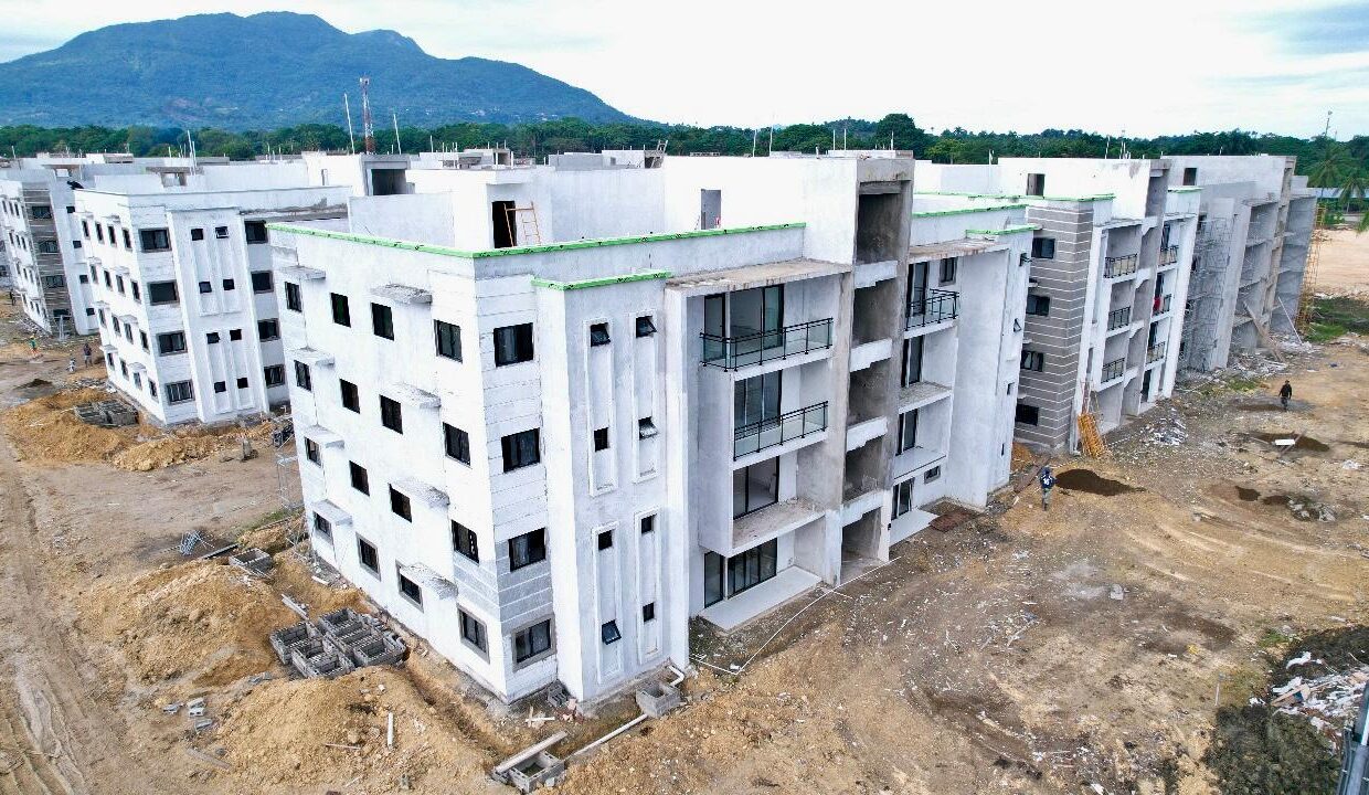 WhatsApp Image 2025-01-11 at 1.43.33 PM