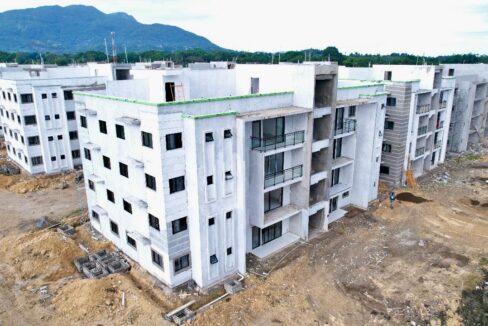 WhatsApp Image 2025-01-11 at 1.43.33 PM