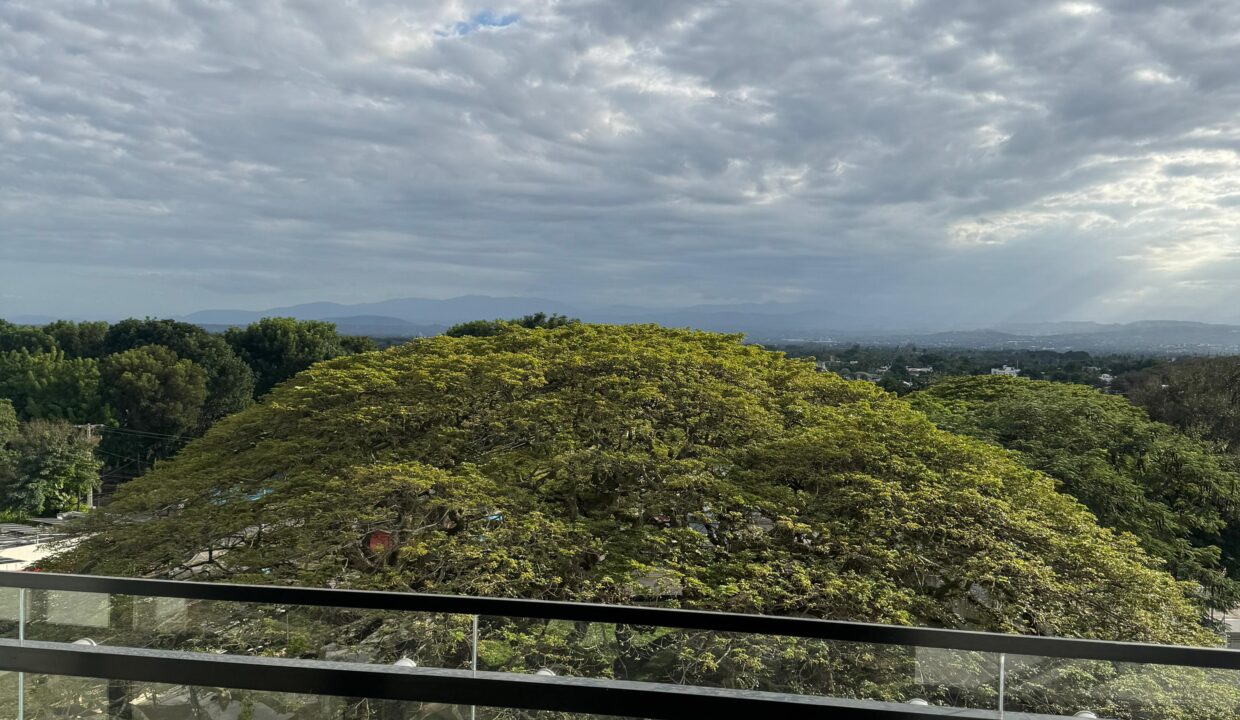 WhatsApp Image 2025-01-22 at 4.57.11 PM (2)