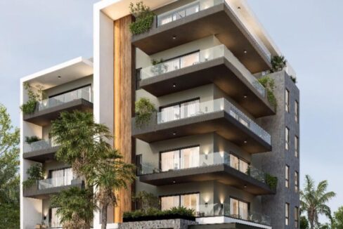 WhatsApp Image 2025-01-24 at 12.07.40 PM (5)