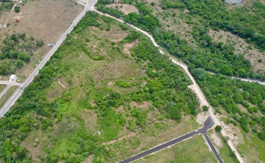 WhatsApp Image 2025-01-26 at 11.32.58 AM