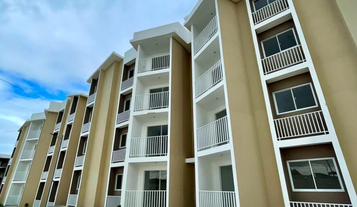 WhatsApp Image 2025-01-28 at 3.02.32 PM